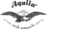 Aquila