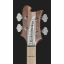 Rickenbacker