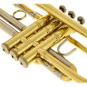 Бах 18043R Bb-труба Bach 18043R Bb-Trumpet