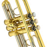 Бах 18043R Bb-труба Bach 18043R Bb-Trumpet