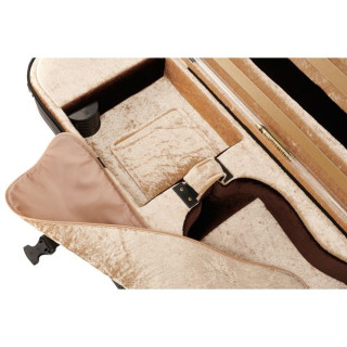 Артонус Джистон Скрипка CKR Artonus Geeston Violin CKR