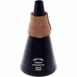 Питер Гейн практикует Пикколо без звука Peter Gane Piccolo Practice Mute