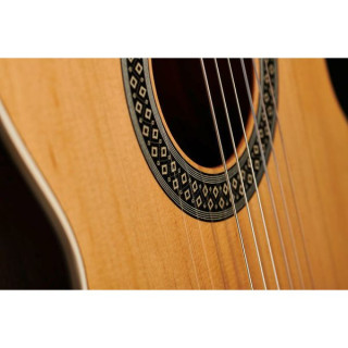 Альгамбра 1С ХТ вкл. Гигантский мешок Alhambra 1C HT incl. Gigbag