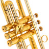 Труба Kühnl & Hoyer Universal Bb-Trumpet 110 14 Kühnl & Hoyer Universal Bb-Trumpet 110 14