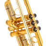 Труба Kühnl & Hoyer Universal Bb-Trumpet 110 14 Kühnl & Hoyer Universal Bb-Trumpet 110 14