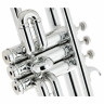 Труба Startone PTR-20 Bb- Trumpet Silver Startone PTR-20 Bb- Trumpet Silver