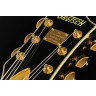 Полуакустическая гитара Gretsch G6120T-SW Steve Wariner Gretsch G6120T-SW Steve Wariner