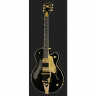 Полуакустическая гитара Gretsch G6120T-SW Steve Wariner Gretsch G6120T-SW Steve Wariner