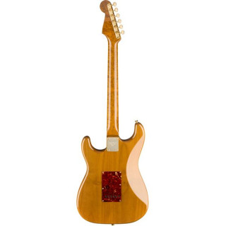 Fender Artisan Maple Burl Strat AN Fender Artisan Maple Burl Strat AN