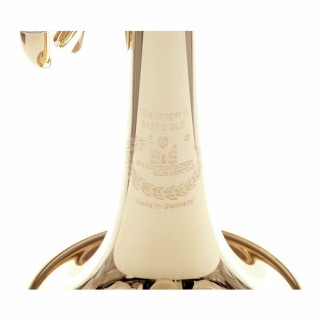 B&S 3137/2GLB-L Challenger II GM B&S 3137/2GLB-L Challenger II GM