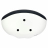 Динамик the box Oval 6 Black the box Oval 6 Black