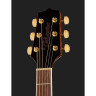 Электроакустическая гитара Takamine GD51CE-NAT Набор №539054 Takamine GD51CE-NAT Bundle №539054