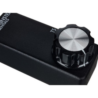 Микроэкспрессия Вестминстерских эффектов TS Westminster Effects Micro Expression TS