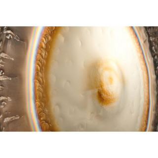 Водяной гонг Thomann 28 дюймов/71 см Thomann 28"/71cm Water Gong