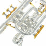 Улучшенный корнет Thomann CR-960GP Thomann CR-960GP Superior Cornet