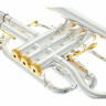 Улучшенный корнет Thomann CR-960GP Thomann CR-960GP Superior Cornet