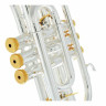 Улучшенный корнет Thomann CR-960GP Thomann CR-960GP Superior Cornet