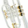 Улучшенный корнет Thomann CR-960GP Thomann CR-960GP Superior Cornet