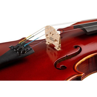 Скрипка с набором Roth & Junius RJV-A Antiqued Violin Set 4/4 Roth & Junius RJV-A Antiqued Violin Set 4/4