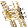 Труба Yamaha YTR-8345G 04 Yamaha YTR-8345G 04 Trumpet