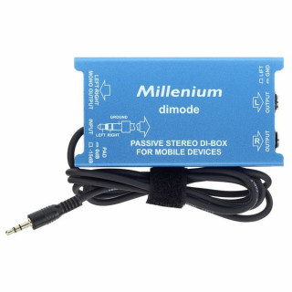 Тысячелетний димод Millenium dimode