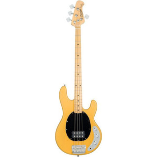 Sterling by Music Man Стинг Рэй Классик 24 года до нашей эры Sterling by Music Man Sting Ray Classic 24 BSC