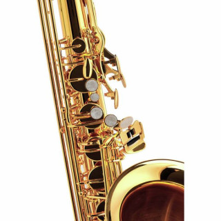 Тенор-саксофон Thomann TTS-350 Tenor Sax Bundle №422773 (Комплект)