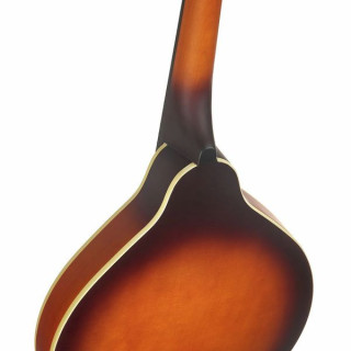 Мандолина Recording King RAM-3-TS Mandoline Recording King RAM-3-TS Mandoline