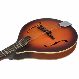 Мандолина Recording King RAM-3-TS Mandoline Recording King RAM-3-TS Mandoline