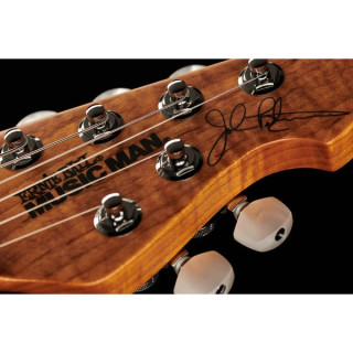 Музыкант Петруччи JP15 Тигровый глаз FT Music Man Petrucci JP15 Tiger Eye FT
