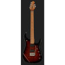 Музыкант Петруччи JP15 Тигровый глаз FT Music Man Petrucci JP15 Tiger Eye FT