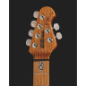 Музыкант Петруччи JP15 Тигровый глаз FT Music Man Petrucci JP15 Tiger Eye FT