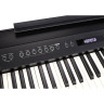 Цифровое пианино Roland FP-60X BK