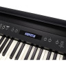 Цифровое пианино Roland FP-60X BK