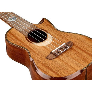 Ортега ECLIPSE-CC4 Ortega ECLIPSE-CC4