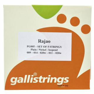 Струны Galli FG005 Струны Rajao Galli Strings FG005 Rajao Strings