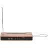 Муг Эфирно-волновой терменвокс Набор №640637 Moog Etherwave Theremin Bundle №640637