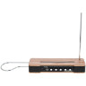 Муг Эфирно-волновой терменвокс Набор №640637 Moog Etherwave Theremin Bundle №640637