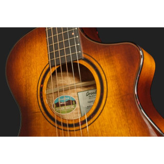 Бридлов Пурсьют EX S Компаньон ТЕ СЕ Breedlove Pursuit EX S Companion TE CE