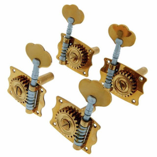 Одиночная машина Roth & Junius. Бас 4/4-3/4GTE Roth & Junius Single Machin. Bass 4/4-3/4GTE