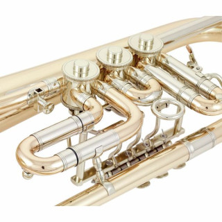 Флюгельгорн Miraphone 24R 1100 A100 Flugelhorn