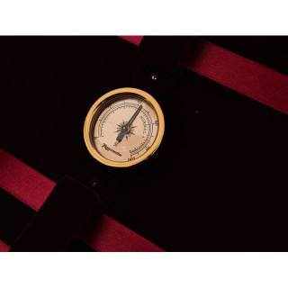 Roth & Junius RJVAC Viola Case Giocoso Roth & Junius RJVAC Viola Case Giocoso