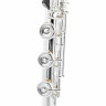Thomann Kotori KF-Флейта RBEO Thomann Kotori KF-RBEO Flute