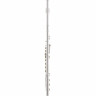 Thomann Kotori KF-Флейта RBEO Thomann Kotori KF-RBEO Flute