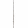 Thomann Kotori KF-Флейта RBEO Thomann Kotori KF-RBEO Flute