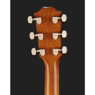 Taylor 514ce Городская железная кора Taylor 514ce Urban Ironbark