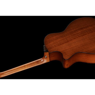 Taylor 514ce Городская железная кора Taylor 514ce Urban Ironbark