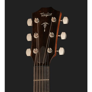 Taylor 514ce Городская железная кора Taylor 514ce Urban Ironbark