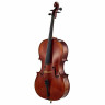 Концерт Scala Vilagio PSH03 Виолончель Гварнери Scala Vilagio PSH03 Concert Cello Guarneri