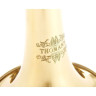 Thomann TR 400 G Bb-Труба Thomann TR 400 G Bb-Trumpet